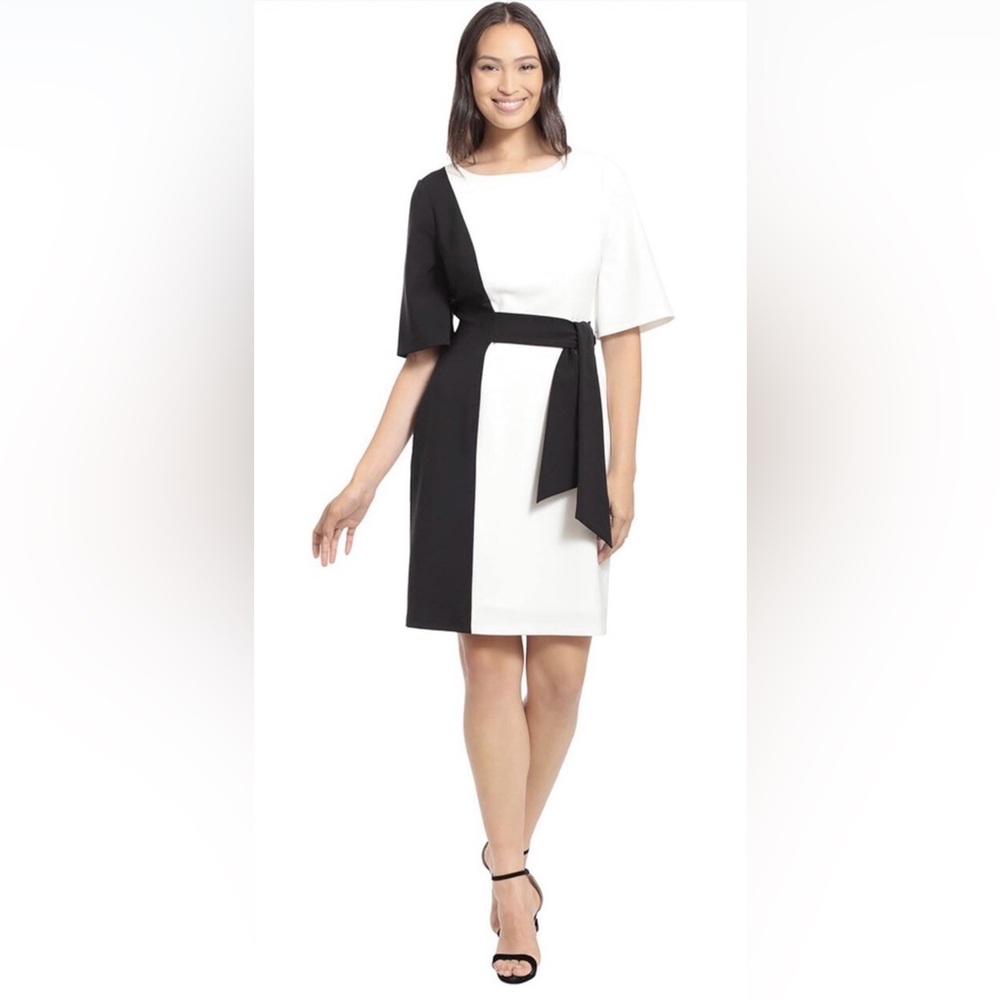 Maggy London Color Block Belted Dress